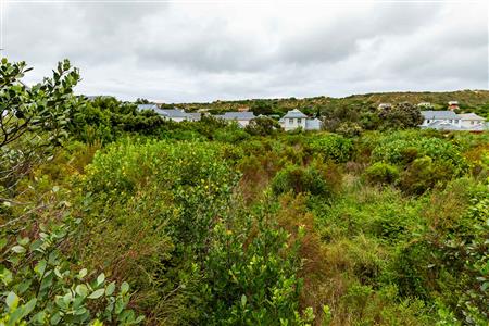 Vacant Land For Sale in Meedingsride, Sedgefield, Western Cape - M124704