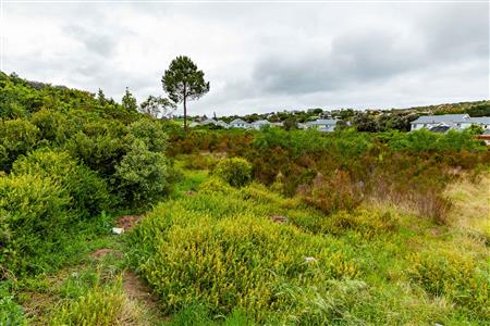 Vacant Land For Sale in Meedingsride, Sedgefield, Western Cape - M124704