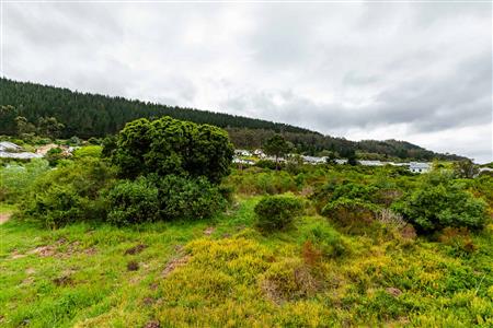 Vacant Land For Sale in Meedingsride, Sedgefield, Western Cape - M124704