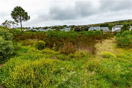Vacant Land For Sale in Meedingsride, Sedgefield, Western Cape - M124704