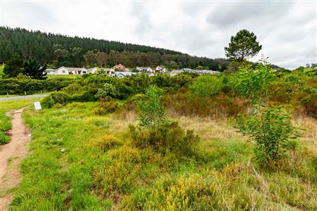 Vacant Land For Sale in Meedingsride, Sedgefield, Western Cape - M124704