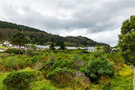 Vacant Land For Sale in Meedingsride, Sedgefield, Western Cape - M124704