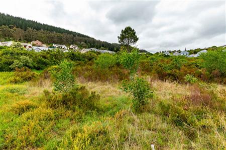 Vacant Land For Sale in Meedingsride, Sedgefield, Western Cape - M124704