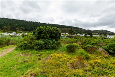 Vacant Land For Sale in Meedingsride, Sedgefield, Western Cape - M124704