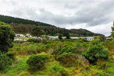 Vacant Land For Sale in Meedingsride, Sedgefield, Western Cape - M124704