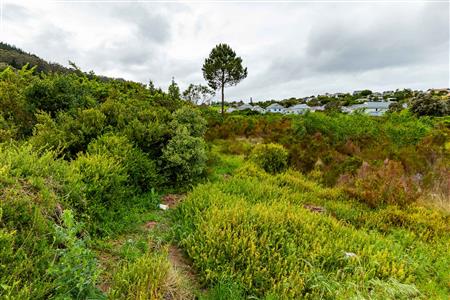 Vacant Land For Sale in Meedingsride, Sedgefield, Western Cape - M124704