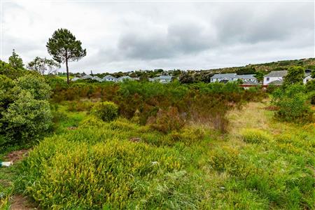 Vacant Land For Sale in Meedingsride, Sedgefield, Western Cape - M124704