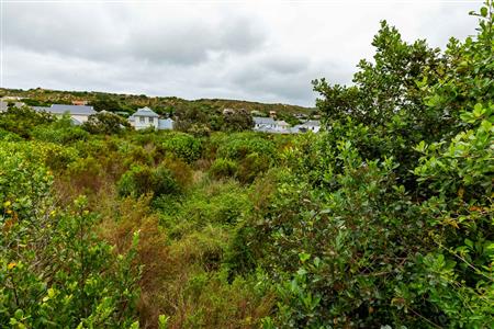 Vacant Land For Sale in Meedingsride, Sedgefield, Western Cape - M124704
