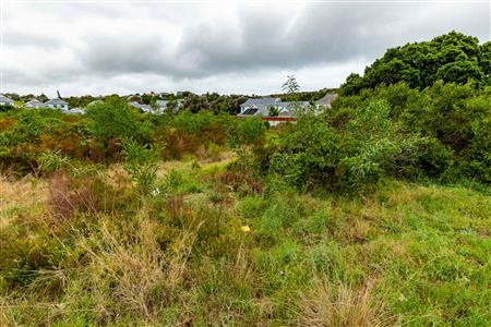 Vacant Land For Sale in Meedingsride, Sedgefield, Western Cape - M124704