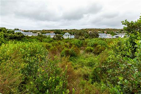 Vacant Land For Sale in Meedingsride, Sedgefield, Western Cape - M124704