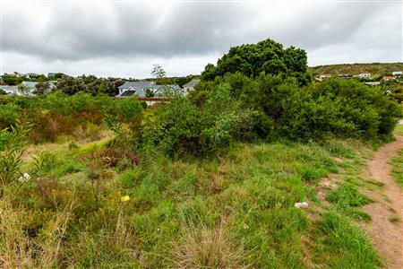Vacant Land For Sale in Meedingsride, Sedgefield, Western Cape - M124704