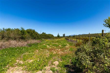 False - Vacant Land For Sale in Sedgefield Rural, Sedgefield, Western Cape - M122138