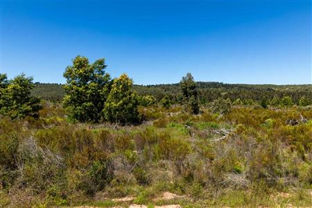 False - Vacant Land For Sale in Sedgefield Rural, Sedgefield, Western Cape - M122138