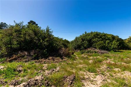 False - Vacant Land For Sale in Sedgefield Rural, Sedgefield, Western Cape - M122138