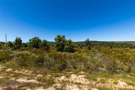 False - Vacant Land For Sale in Sedgefield Rural, Sedgefield, Western Cape - M122138