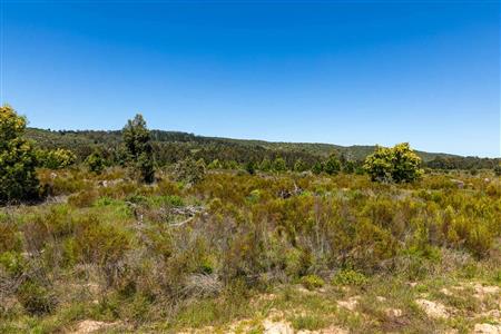 False - Vacant Land For Sale in Sedgefield Rural, Sedgefield, Western Cape - M122138