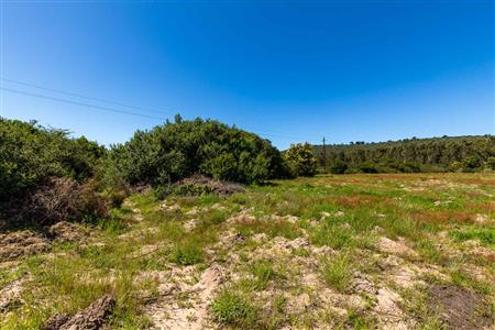 False - Vacant Land For Sale in Sedgefield Rural, Sedgefield, Western Cape - M122138