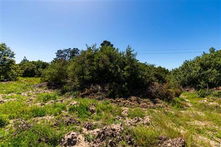 False - Vacant Land For Sale in Sedgefield Rural, Sedgefield, Western Cape - M122138