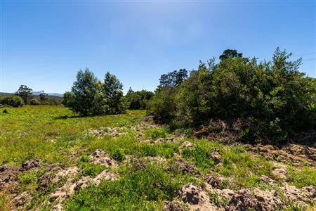 False - Vacant Land For Sale in Sedgefield Rural, Sedgefield, Western Cape - M122138