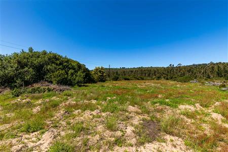 False - Vacant Land For Sale in Sedgefield Rural, Sedgefield, Western Cape - M122138