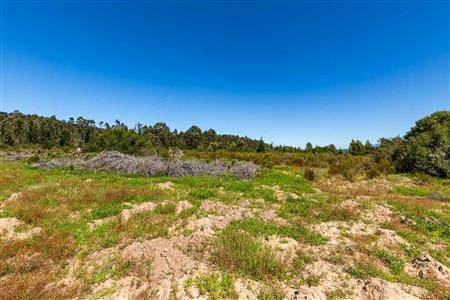 False - Vacant Land For Sale in Sedgefield Rural, Sedgefield, Western Cape - M122138
