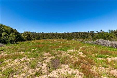 False - Vacant Land For Sale in Sedgefield Rural, Sedgefield, Western Cape - M122138