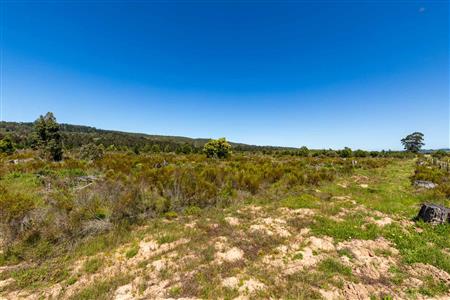 False - Vacant Land For Sale in Sedgefield Rural, Sedgefield, Western Cape - M122138
