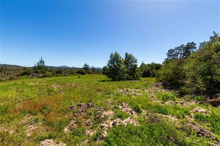 False - Vacant Land For Sale in Sedgefield Rural, Sedgefield, Western Cape - M122138
