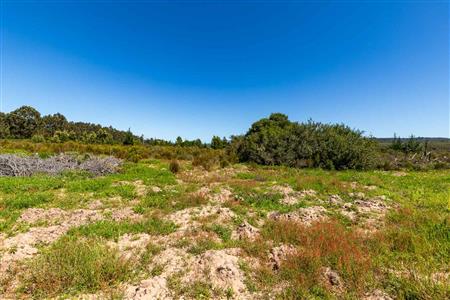 False - Vacant Land For Sale in Sedgefield Rural, Sedgefield, Western Cape - M122138