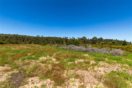 False - Vacant Land For Sale in Sedgefield Rural, Sedgefield, Western Cape - M122138