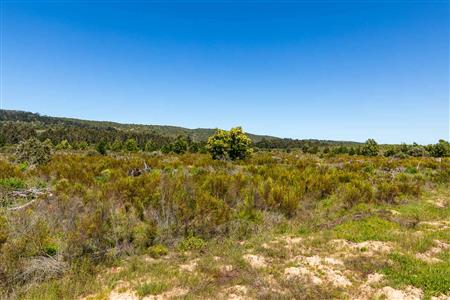 False - Vacant Land For Sale in Sedgefield Rural, Sedgefield, Western Cape - M122138