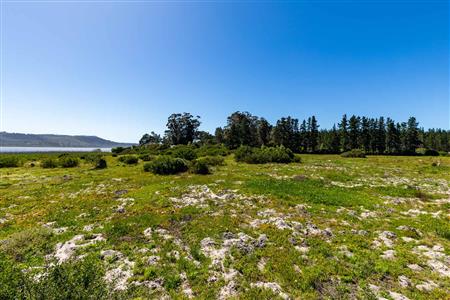 False - Vacant Land For Sale in Sedgefield Rural, Sedgefield, Western Cape - M122137