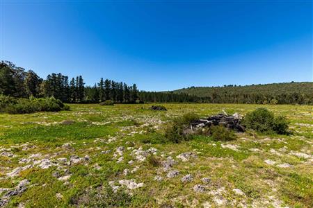 False - Vacant Land For Sale in Sedgefield Rural, Sedgefield, Western Cape - M122137