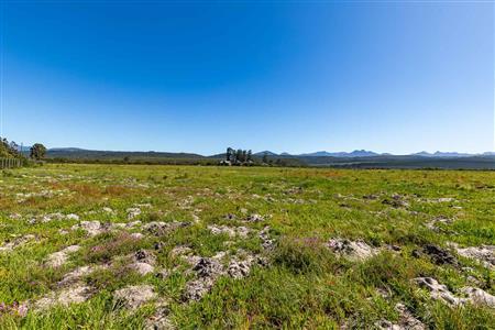 False - Vacant Land For Sale in Sedgefield Rural, Sedgefield, Western Cape - M122137