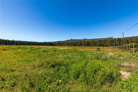 False - Vacant Land For Sale in Sedgefield Rural, Sedgefield, Western Cape - M122137