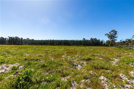 False - Vacant Land For Sale in Sedgefield Rural, Sedgefield, Western Cape - M122137