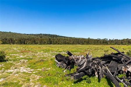 False - Vacant Land For Sale in Sedgefield Rural, Sedgefield, Western Cape - M122137