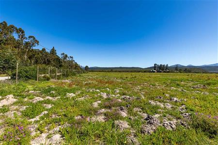 False - Vacant Land For Sale in Sedgefield Rural, Sedgefield, Western Cape - M122137