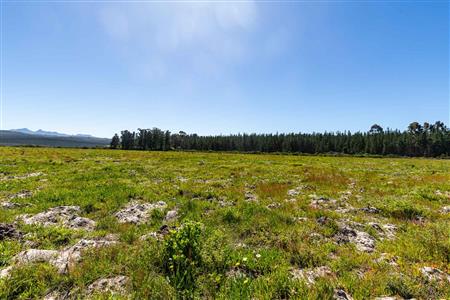 False - Vacant Land For Sale in Sedgefield Rural, Sedgefield, Western Cape - M122137