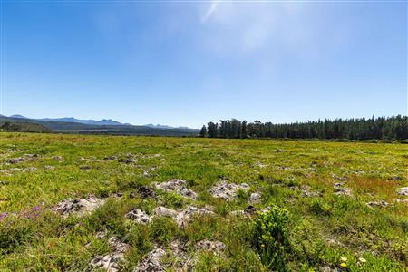 False - Vacant Land For Sale in Sedgefield Rural, Sedgefield, Western Cape - M122137