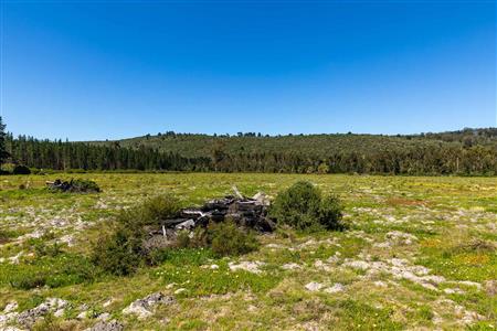 False - Vacant Land For Sale in Sedgefield Rural, Sedgefield, Western Cape - M122137