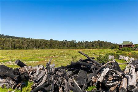 False - Vacant Land For Sale in Sedgefield Rural, Sedgefield, Western Cape - M122137