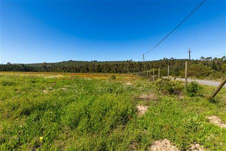 False - Vacant Land For Sale in Sedgefield Rural, Sedgefield, Western Cape - M122137