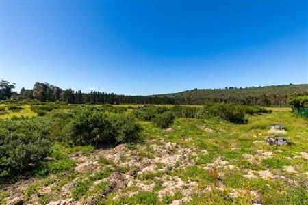 False - Vacant Land For Sale in Sedgefield Rural, Sedgefield, Western Cape - M122137