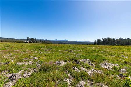 False - Vacant Land For Sale in Sedgefield Rural, Sedgefield, Western Cape - M122137