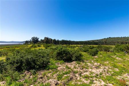 False - Vacant Land For Sale in Sedgefield Rural, Sedgefield, Western Cape - M122137