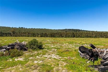 False - Vacant Land For Sale in Sedgefield Rural, Sedgefield, Western Cape - M122137
