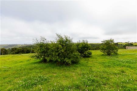 False - Vacant Land For Sale in Le Grand Estate, George, Western Cape - M122157