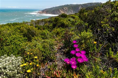 False - Vacant Land For Sale in Le Grand Estate, George, Western Cape - M122367