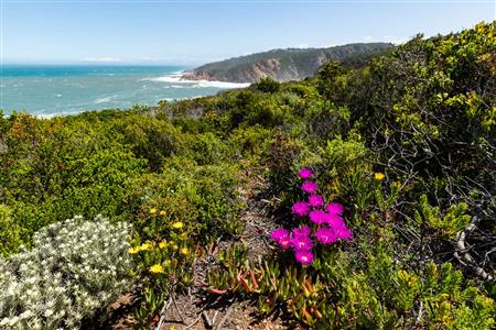False - Vacant Land For Sale in Le Grand Estate, George, Western Cape - M122367